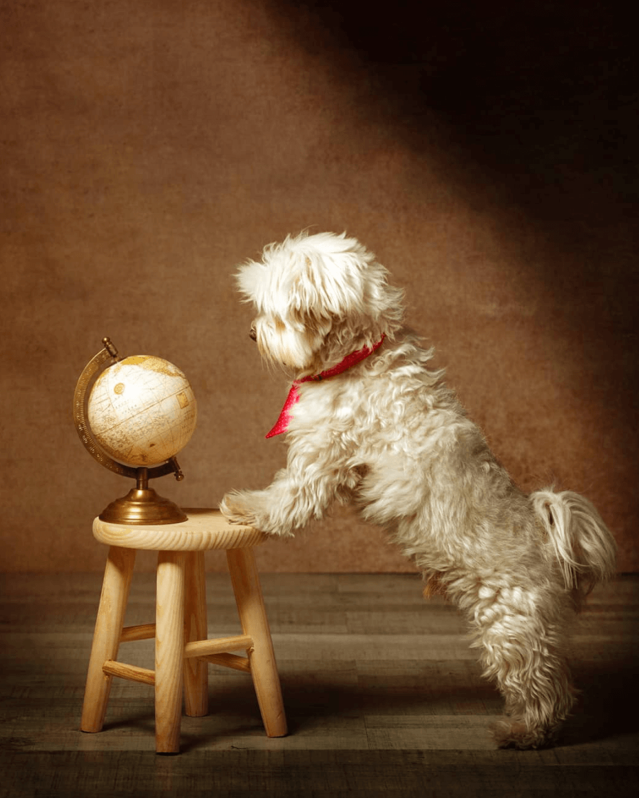 Antonio Siles - antonio-siles-fotografo-infantil-familiar-almeria-65.png
