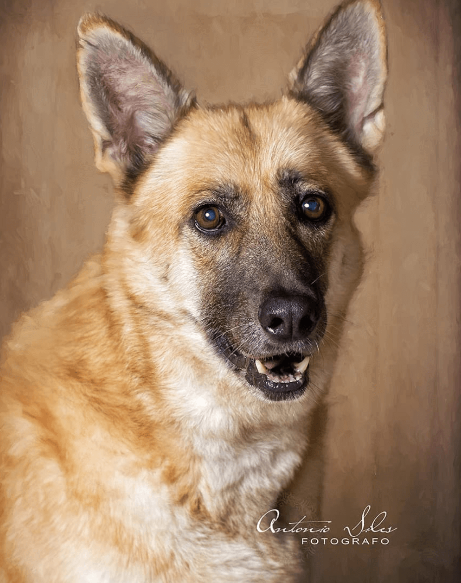 Antonio Siles - antonio-siles-fotografo-infantil-familiar-almeria-68.png