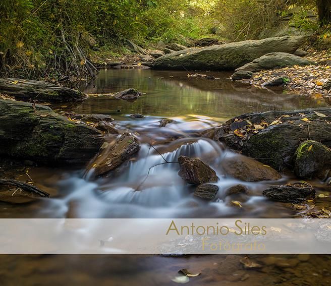 Antonio Siles - antonio-siles-fotografo-infantil-familiar-almeria-72.jpeg